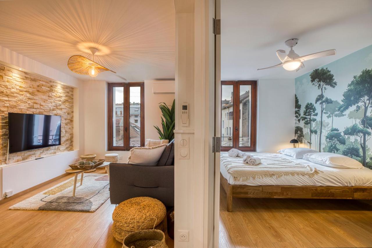 Le Carnot - Mycosyapart, Duplex Coeur De Ville Et Lac, Climatise Annecy Bagian luar foto